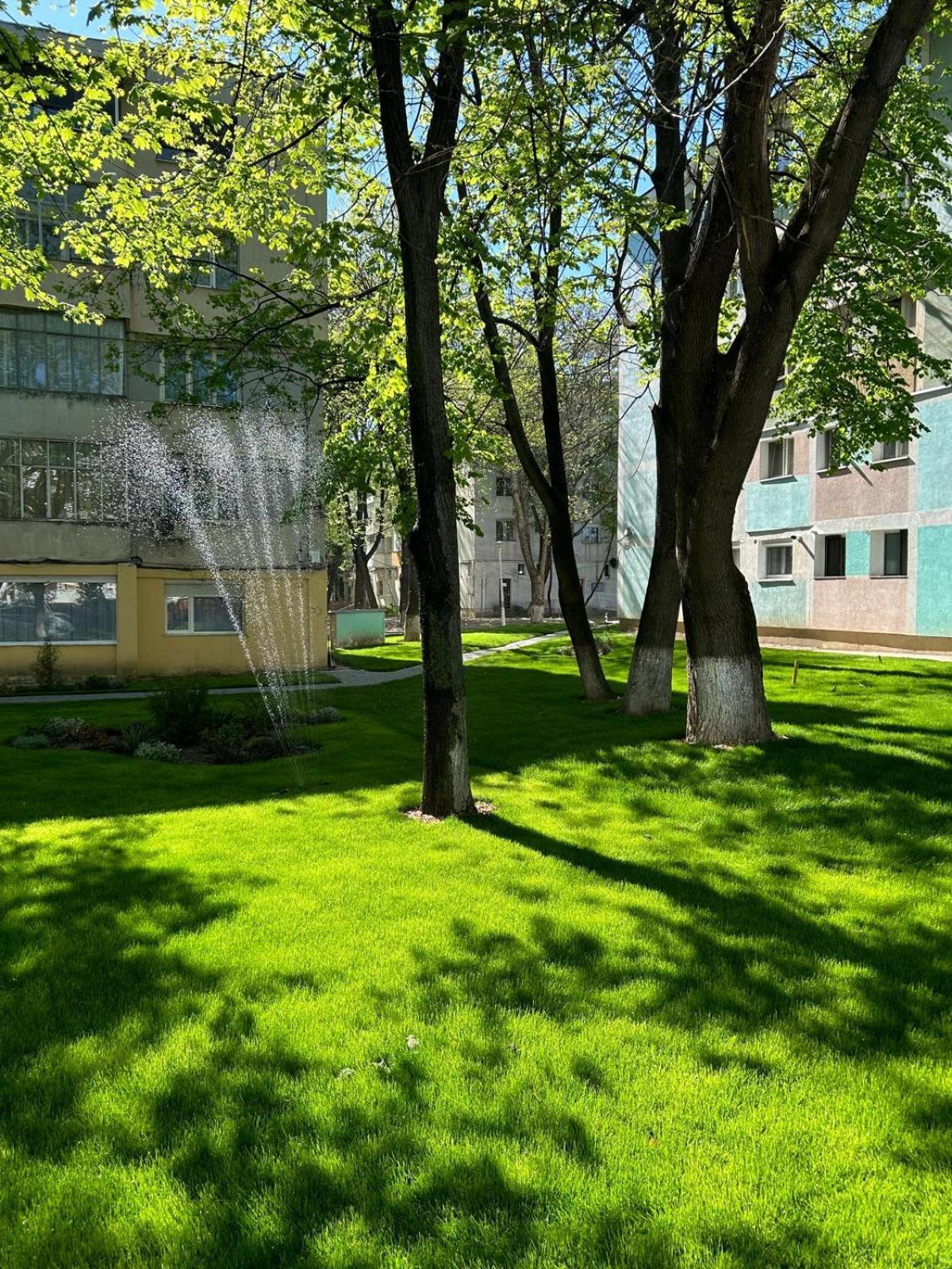 Linden Copou Parhon Iro Apartment